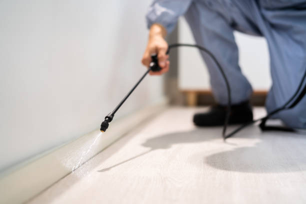 Licensed Pest Control service in Orting, WA - Show Me Pest Control