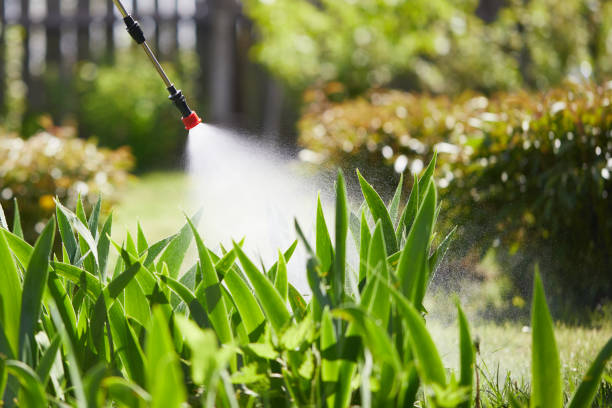 Tamper-Resistant Bait Stations for Rodents in Orting