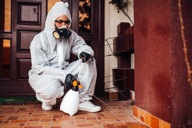 Attic and Crawl Space Rodent Treatment in Orting
