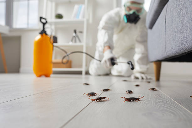 Commercial Rodent Management in Orting